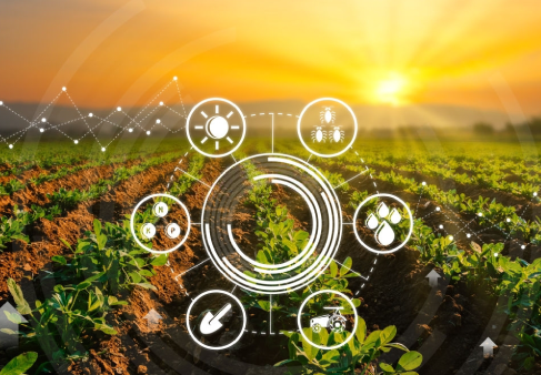 الزراعة والبيئة والمياة