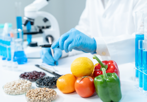 الأمن الغذائي